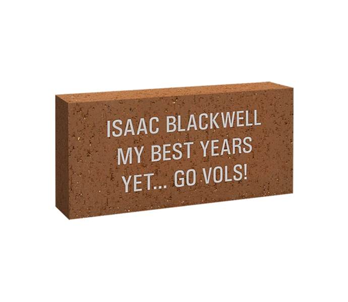 4x8 Brick